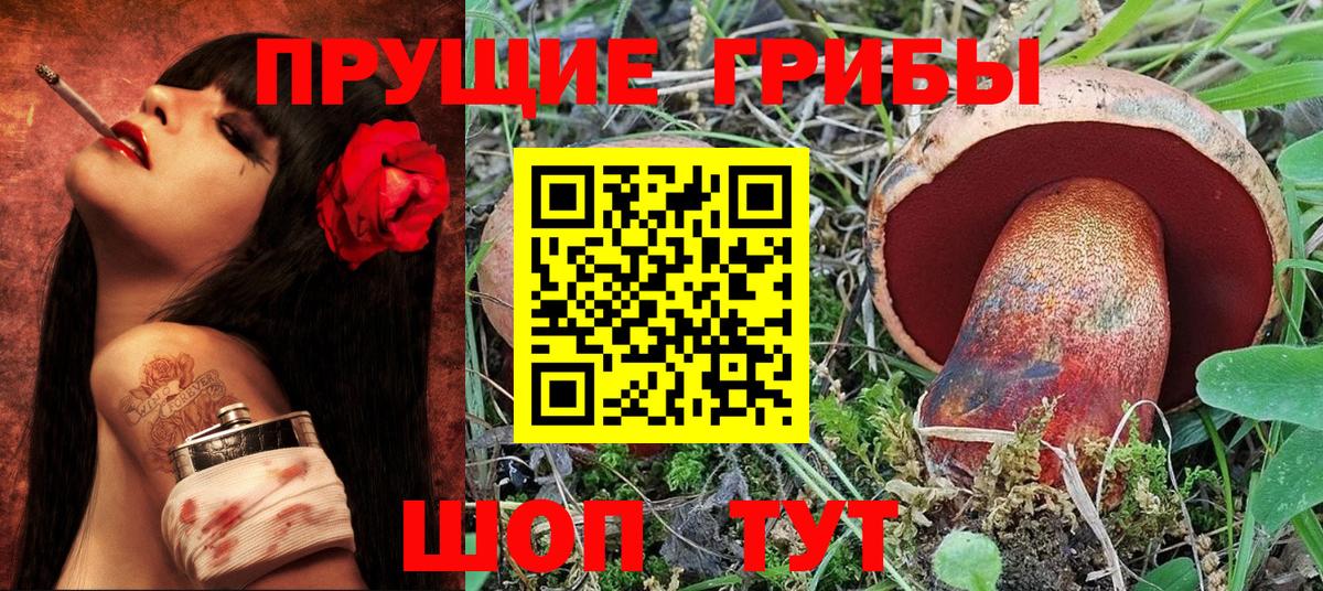 Псилоцибиновые грибы Psilocybine cubensis Сланцы