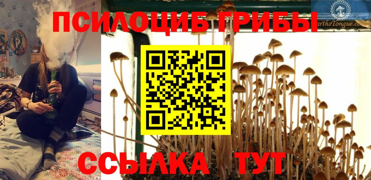 Псилоцибиновые грибы Magic Shrooms  Вход с VPN  Сланцы 