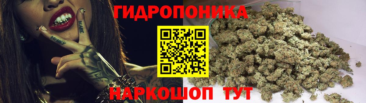 Сланцы  Канабис THC 21%  Марихуана сатива  Каннабис индика  Вход с VPN 